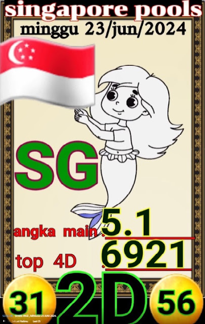 SYAIR SGP VIP
